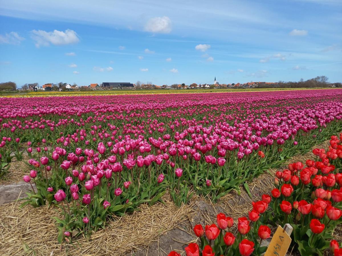 Bed En Breakfast Kamers En Meer Het Spookhuis Den Hoorn  Exterior foto