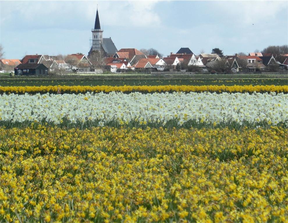 Bed En Breakfast Kamers En Meer Het Spookhuis Den Hoorn  Exterior foto